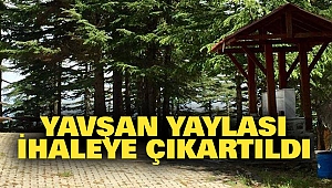 Yavşan Yaylası İhaleye Çıkartıldı