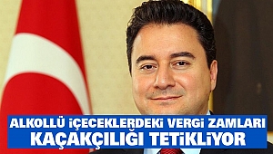 Babacan’ın Açıklamaları Gündem Oldu: Alkollü İçeceklerdeki Vergi zamları Kaçakçılığı Tetikliyor