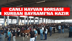 Canlı Hayvan Borsası Kurban Bayramı’na Hazır