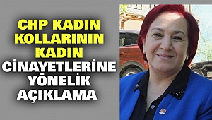 CHP Kadın Kollarının Kadın Cinayetlerine Yönelik Açıklama
