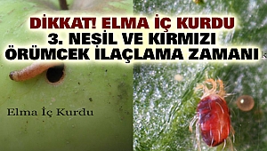 Dikkat! Elma iç kurdu 3. Nesil ve kırmızı örümcek ilaçlama zamanı