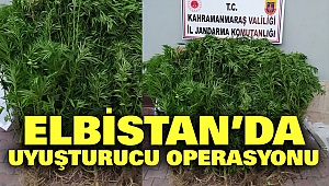 Elbistan’da Uyuşturucu Operasyonu