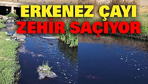 Erkenez Çayı Zehir Saçıyor
