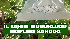 İl Tarım Müdürlüğü Ekipleri Sahada