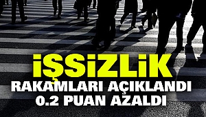 İşsizlik Rakamları Açıklandı: 0.2 Puan Azaldı