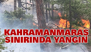 Kahramanmaraş Sınırında Yangın