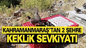 Kahramanmaraş’ta 2 Şehre Keklik Sevkiyatı