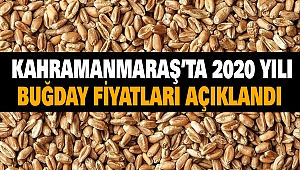 Kahramanmaraş'ta 2020 Yılı Buğday Fiyatları Açıklandı