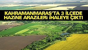 Kahramanmaraş’ta 3 İlçede Hazine Arazileri İhaleye Çıktı
