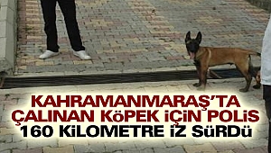 Kahramanmaraş’ta Çalınan Köpek İçin Polis, 160 Kilometre İz Sürdü