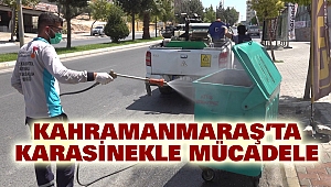 Kahramanmaraş’ta karasinekle mücadele