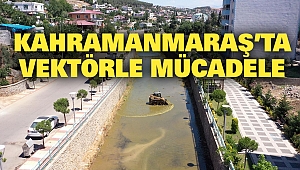 Kahramanmaraş’ta vektörle mücadele