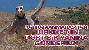 Kahramanmaraş’tan Türkiye’nin Dört Bir Yanına Gönderildi