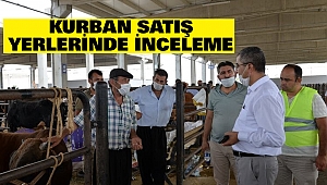 Kurban Satış Yerlerinde İnceleme