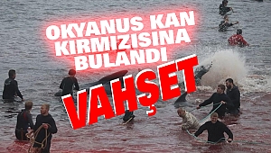 Okyanus Kan Kırmızısına Bulandı