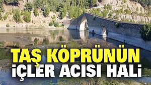 Taş Köprünün İçler Acısı Hali