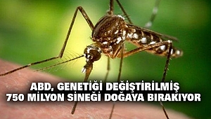 ABD, Genetiği Değiştirilmiş 750 Milyon Sineği Doğaya Bırakıyor