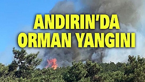 Andırın’da Orman Yangını