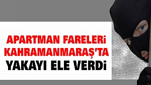 Apartman Fareleri Kahramanmaraş’ta Yakayı Ele Verdi