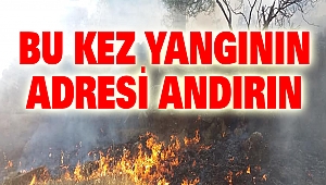 Bu Kez Yangının Adresi Andırın
