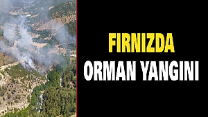 Fırnızda Orman Yangını