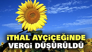 İthal Ayçiçeğinde Vergi Düşürüldü