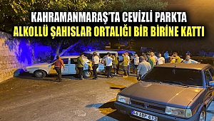 Kahramanmaraş’ta Cevizli Parkta Alkollü Şahıslar Ortalığı Bir Birine Kattı