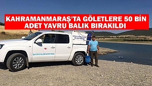 Kahramanmaraş’ta Göletlere 50 bin adet yavru balık bırakıldı