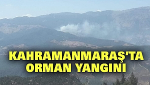 Kahramanmaraş’ta Orman Yangını