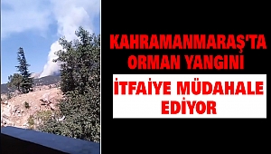 Kahramanmaraş'ta Orman Yangını