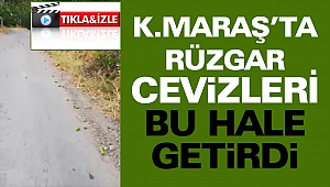Kahramanmaraş'ta Rüzgar Cevizlere Zarar Verdi