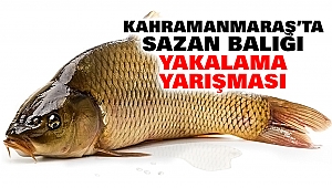 Kahramanmaraş’ta Sazan Balığı Yakalama Yarışması
