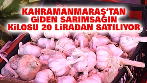 Kahramanmaraş'tan Giden Sarımsağın Kilosu 20 Liradan Satılıyor