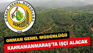 Orman Genel Müdürlüğü Kahramanmaraş’ta İşçi Alacak