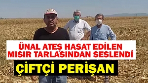 Ünal Ateş Hasat Edilen Mısır Tarlasından Seslendi