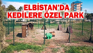 Elbistan’da Kedilere Özel Park