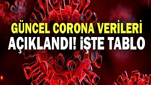 Güncel corona virüsü verileri açıklandı! İşte tablo