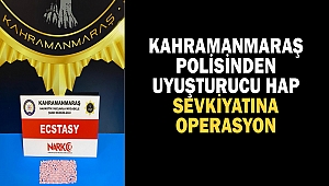Kahramanmaraş Polisinden uyuşturucu hap sevkiyatına Operasyon