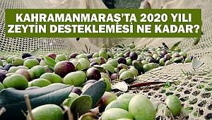 Kahramanmaraş’ta 2020 yılı zeytin desteklemesi ne kadar?