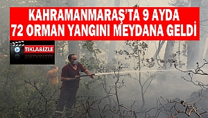 Kahramanmaraş'ta 9 ayda 72 orman yangını meydana geldi