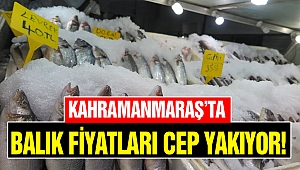 Kahramanmaraş’ta Balık Fiyatları Cep Yakıyor
