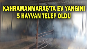 Kahramanmaraş’ta Ev Yangını: 5 Hayvan Telef Oldu