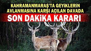 Kahramanmaraş'ta Geyiklerin Avlanmasına Karşı Açılan Dava da Son Dakika Kararı