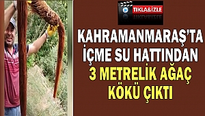 Kahramanmaraş’ta İçme su hattından 3 metrelik ağaç kökü çıktı