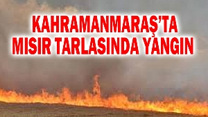 Kahramanmaraş’ta Mısır Tarlasında Yangın