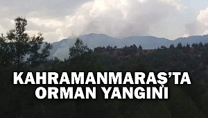 Kahramanmaraş'ta Orman Yangını