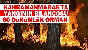 Kahramanmaraş’ta Yangının Bilançosu: 60 Dönümlük Orman