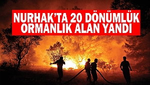 Nurhak’ta 20 Dönümlük Ormanlık Alan Yandı