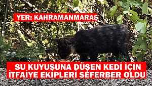 Su kuyusuna düşen kedi için itfaiye ekipleri seferber oldu