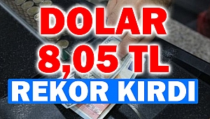 Dolar 8,05 TL